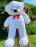 Ведмедик Монті 160 см Білий