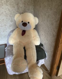 Фото з відгуку покупця про BigMishki