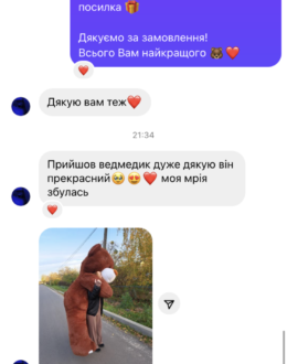 Фото з відгуку покупця про Ведмедик Ветлі 300 см Коричневий - фото №1