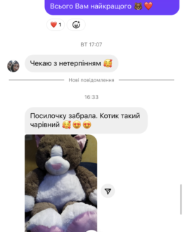 Фото из отзыва покупателя о Плюшевый котик 110 см 1.1 м Капучино