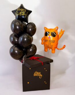 Набор шариков «Birthday Vibe с котиком»