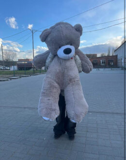 Фото з відгуку покупця про Ведмедик Ветлі 200 см Сірий