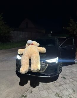 Фото з відгуку покупця про Ведмедик Ветлі 200 см Бежевий
