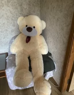 Фото из отзыва покупателя о BigMishki
