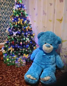 Фото из отзыва покупателя о BigMishki
